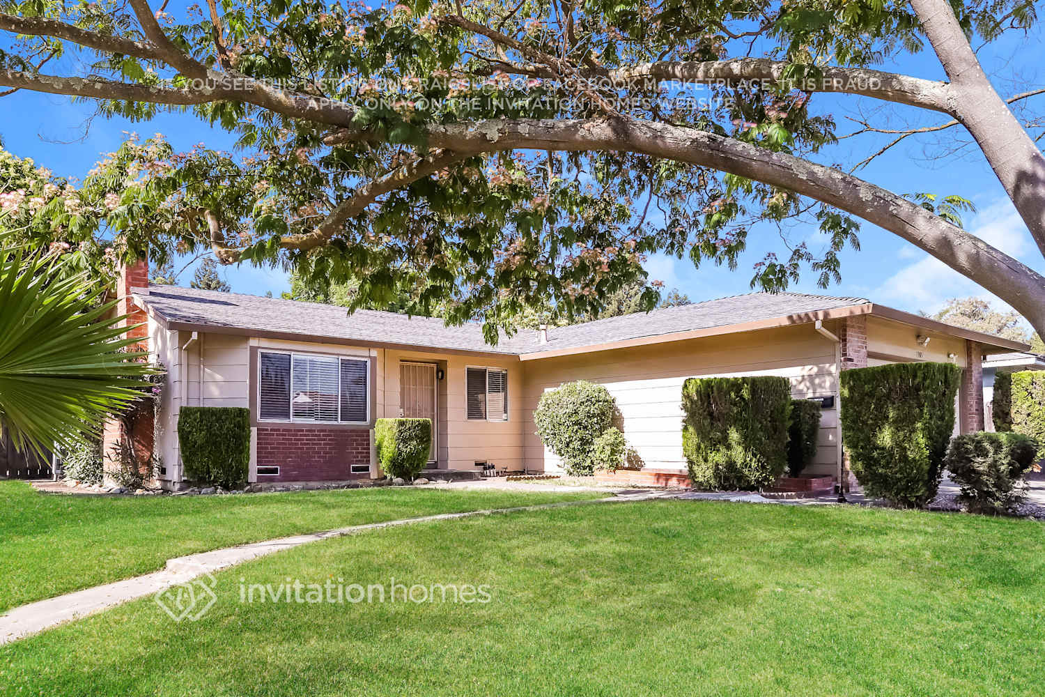 Building Photo - 1385 Meadowlark Dr