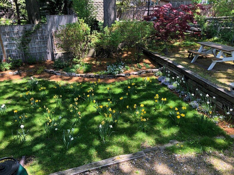 Building Photo - 105 Chestnut St