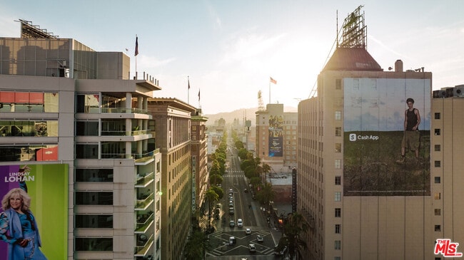 Building Photo - 6250 Hollywood Blvd