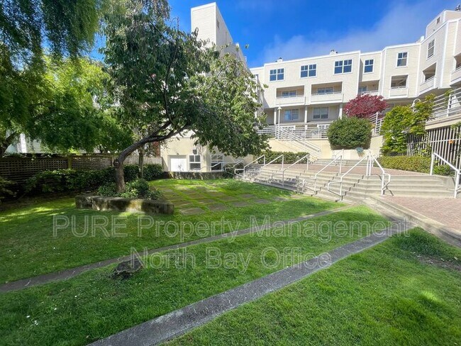 Building Photo - 2075 Sutter St