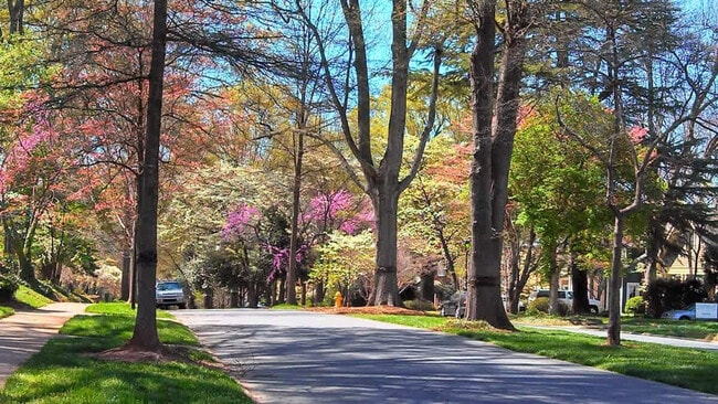 Building Photo - 500 Queens Rd