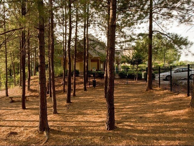 Holland Park Lawrenceville Ga Apartment Finder