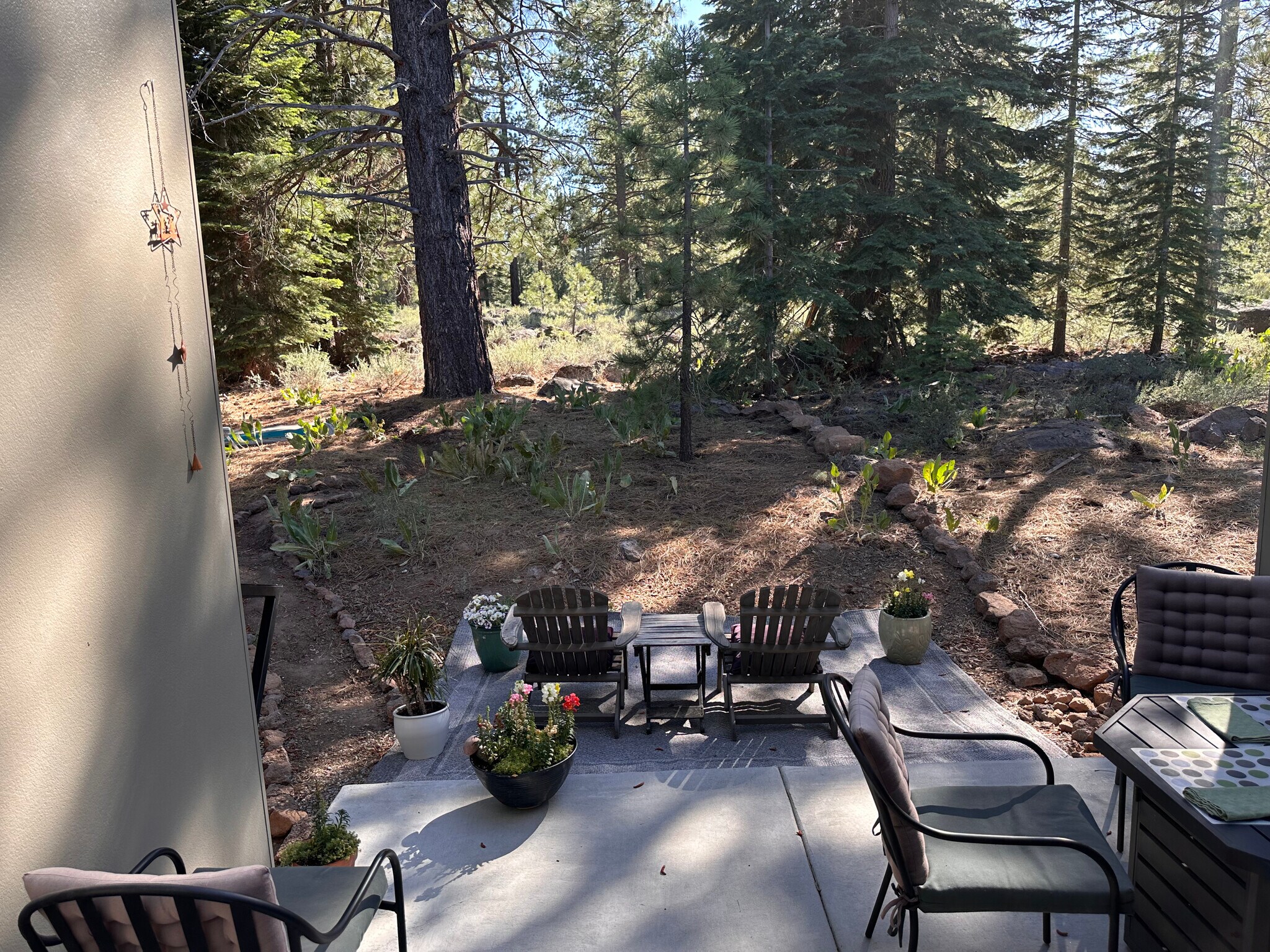 Backyard - 9542 Parker Ln