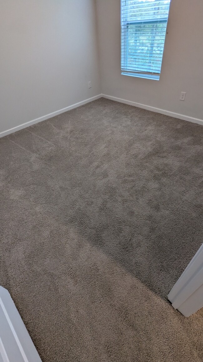 Building Photo - 163 Painted Lady Lp