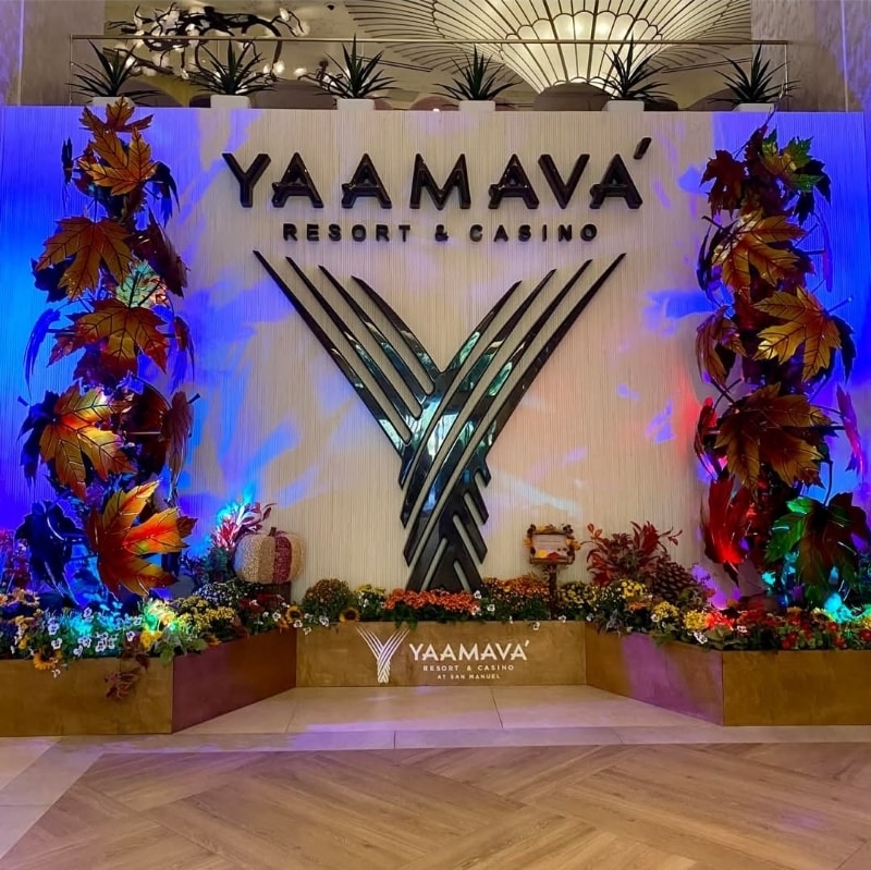 Building Photo - 3154 Luxurious Highland Home