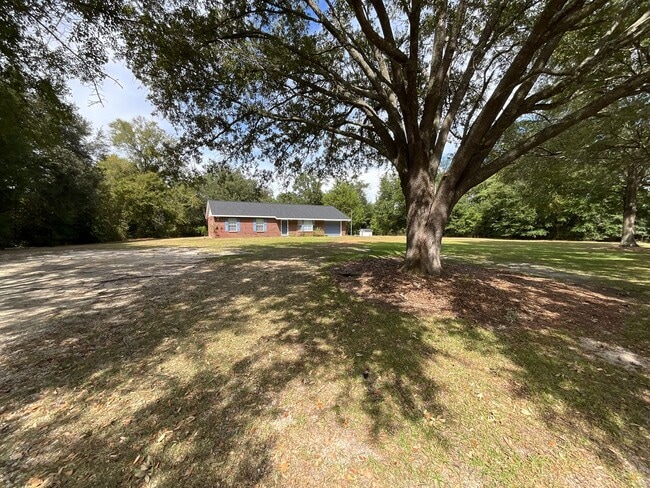Building Photo - Country Setting on Paved Road