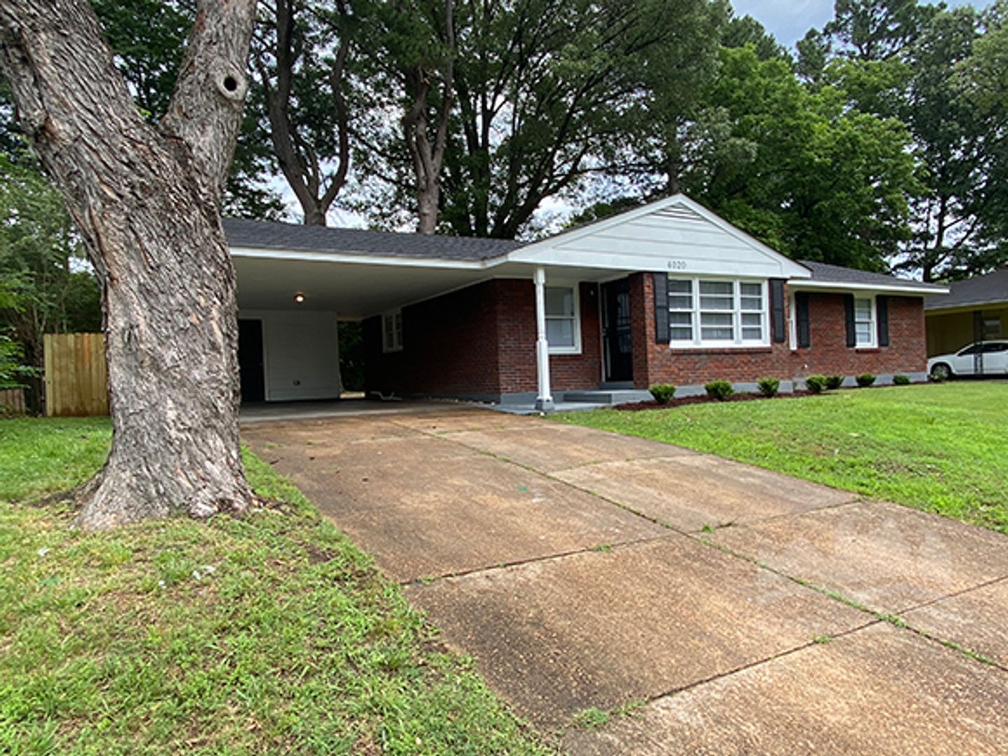 Building Photo - Welcome to 4020 Graceland!