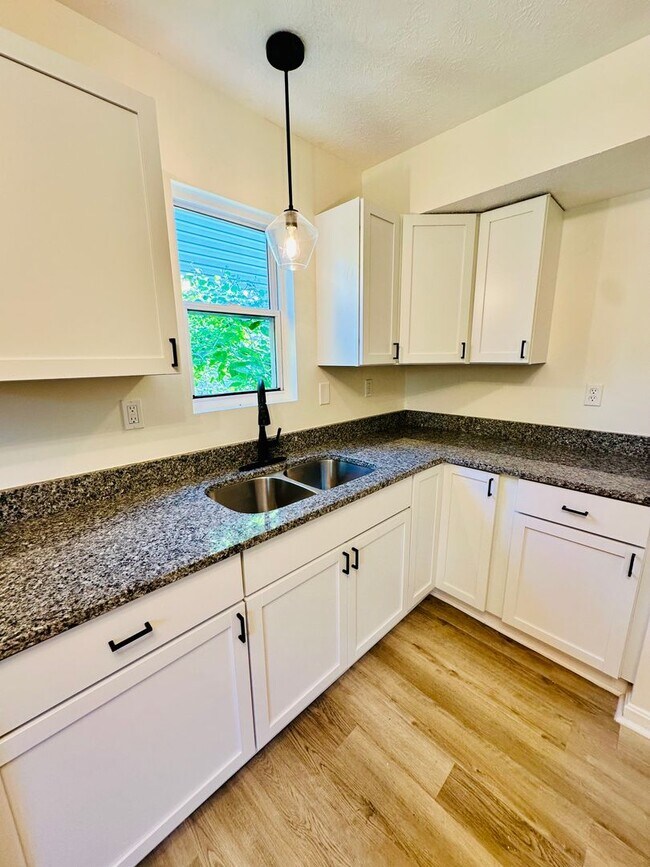 Building Photo - Completely renovated 3BR house in Shelby P...