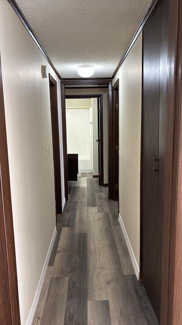 Building Photo - Fully Renovated 1/1 Available for Immediat...