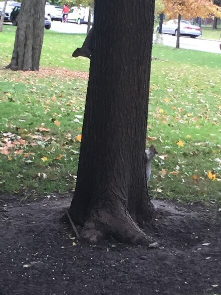 Building Photo - 2318 S Marshall Blvd