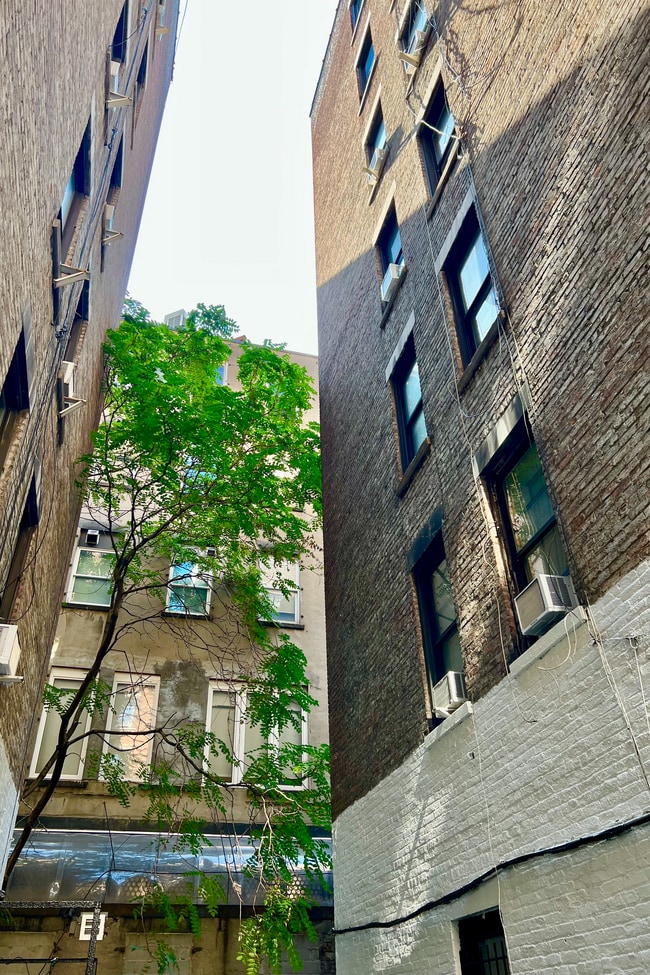 Building Photo - 210 Thompson St