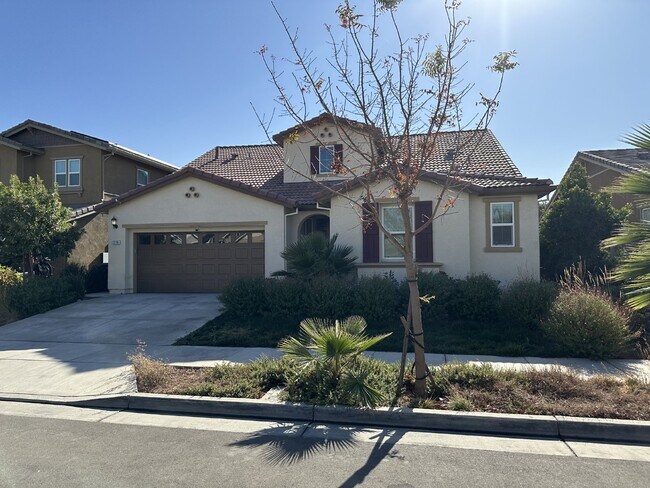 Building Photo - Beautiful 4 Bed, 3 Bath Home in Perfect Tracy Location