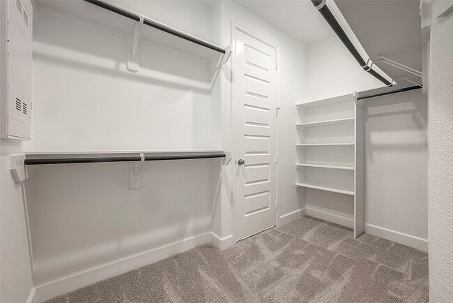 Building Photo - 5139 Albany Shores Ln