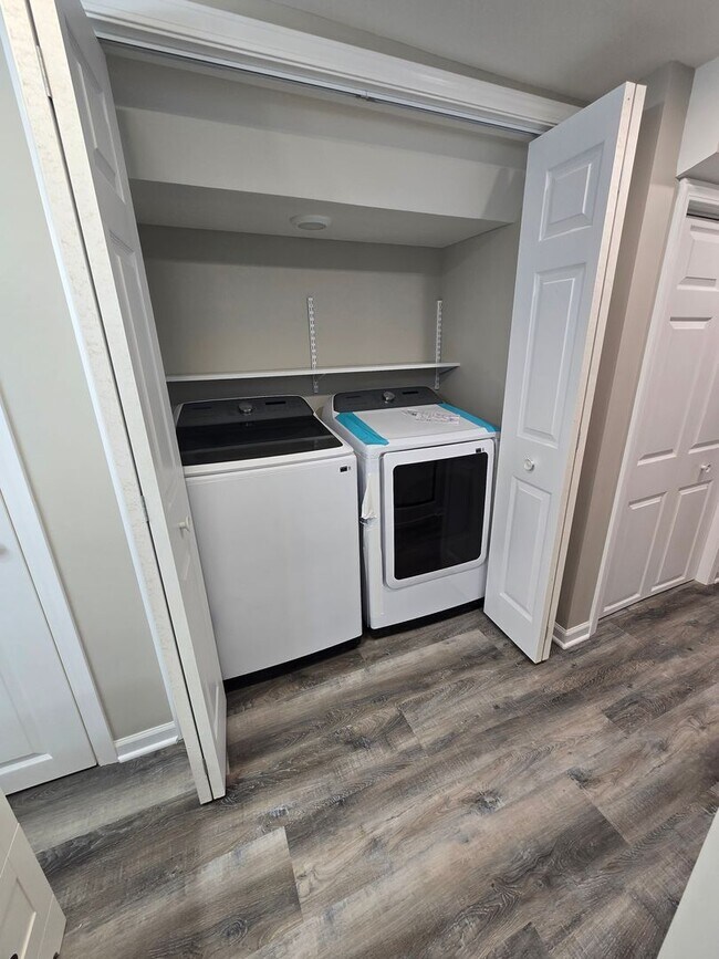 Building Photo - Fully Remodeled 4BR/2.5BA Home for Rent – Norfolk Living at Its Finest!