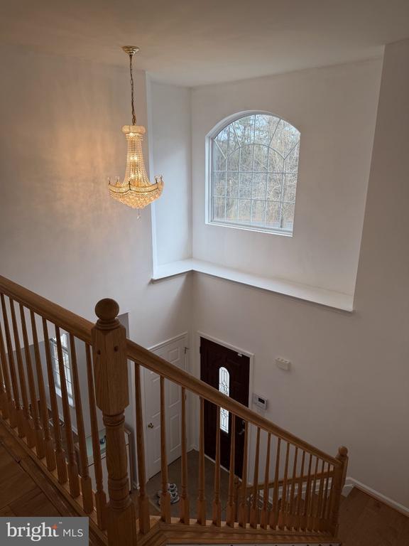 Building Photo - 101 Goldenrod Ln