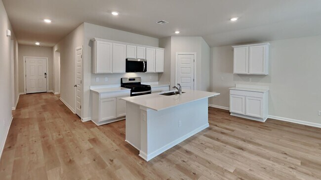 Building Photo - BRAND NEW 4 Bedroom 2 Bath Home in Piedmont Schools