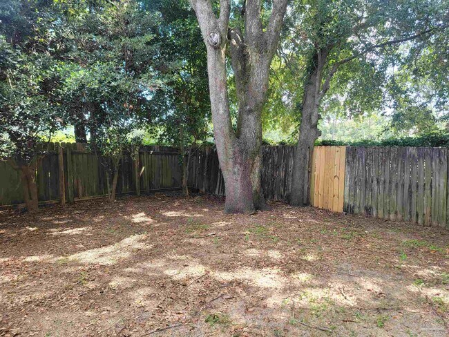 Building Photo - 8146 Treetop Ln