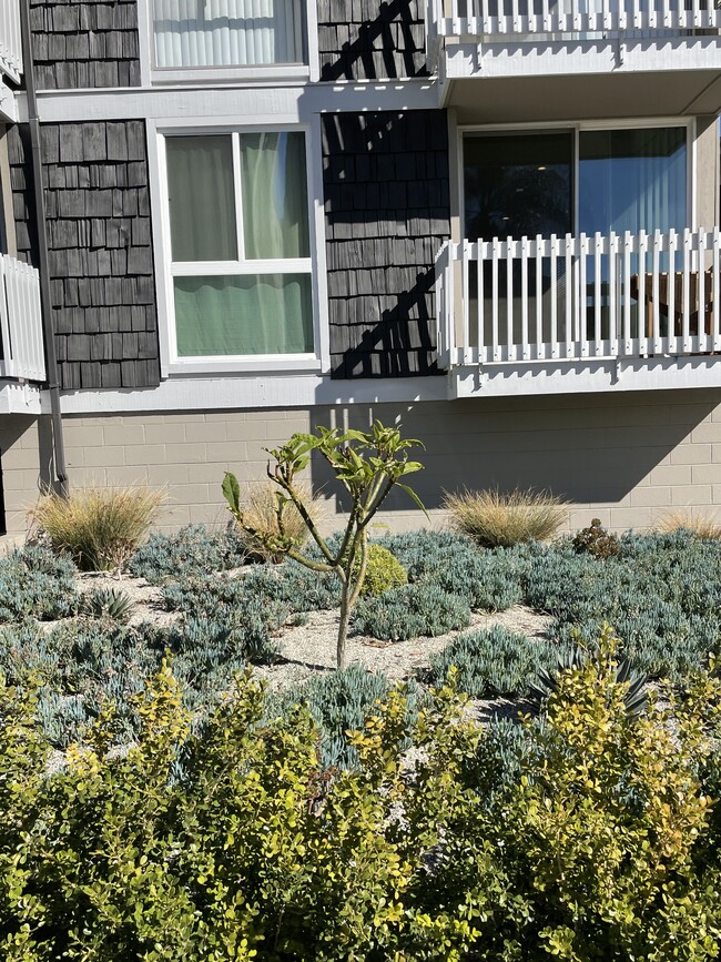 Building Photo - LUXURY LIVING AT AN AFFORDABLE PRICE