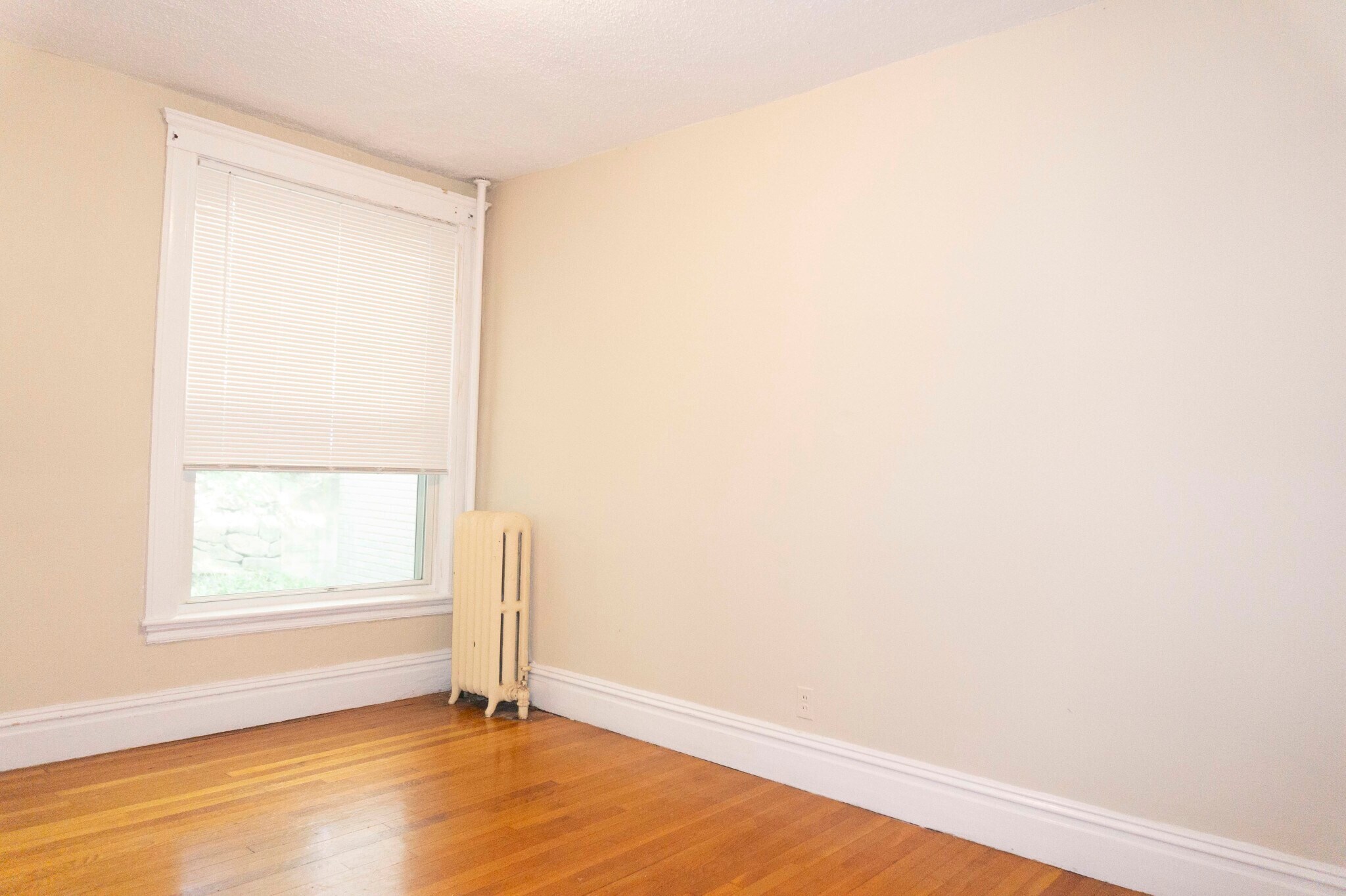Building Photo - 53 Strathmore Rd