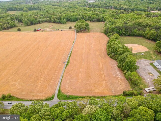 Building Photo - 12475 Rock Point Rd