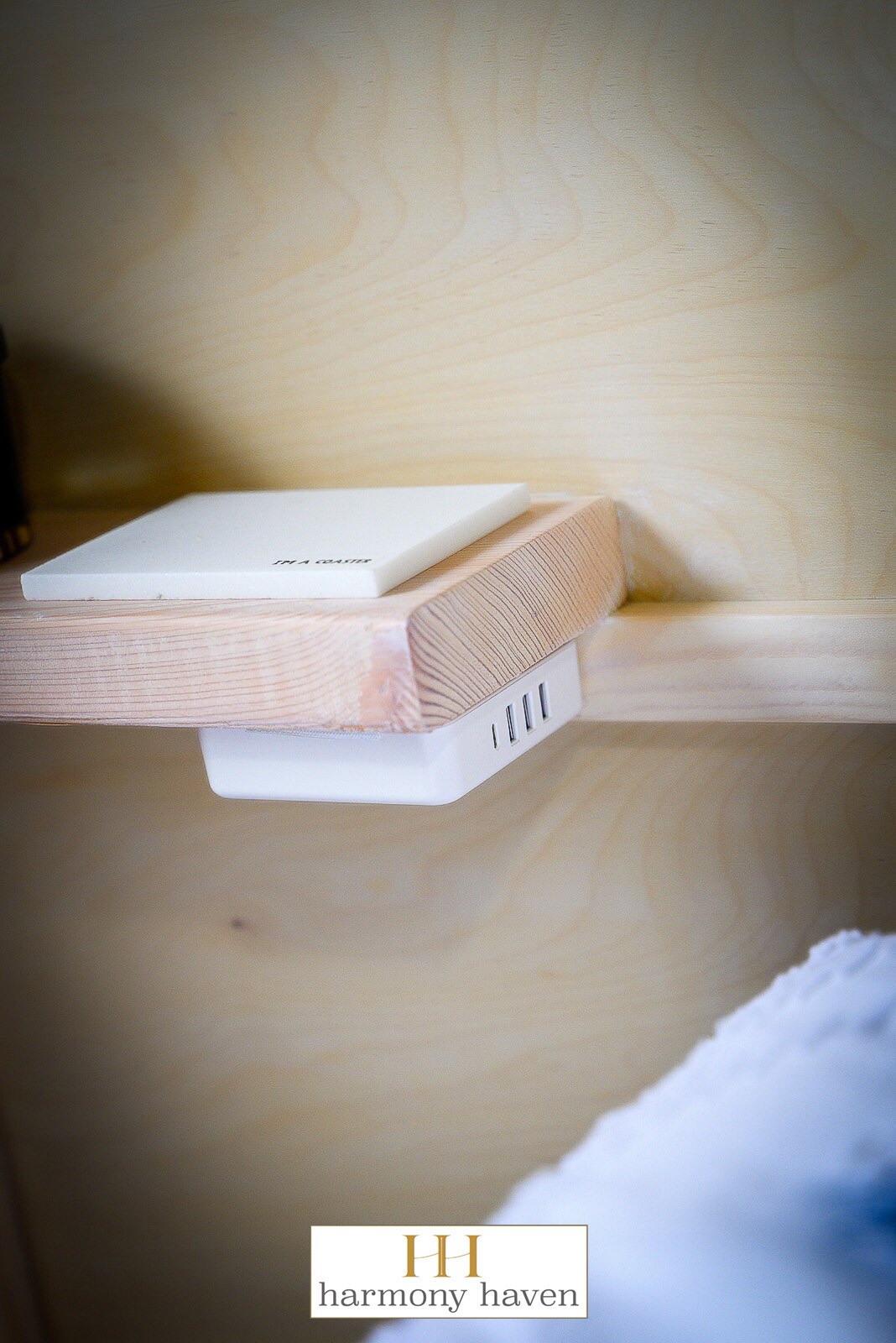 Hidden charging station built into bed. - 17016 Foxton Dr