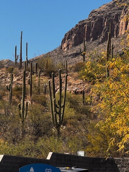 Building Photo - 1512 N Forgeus Ave