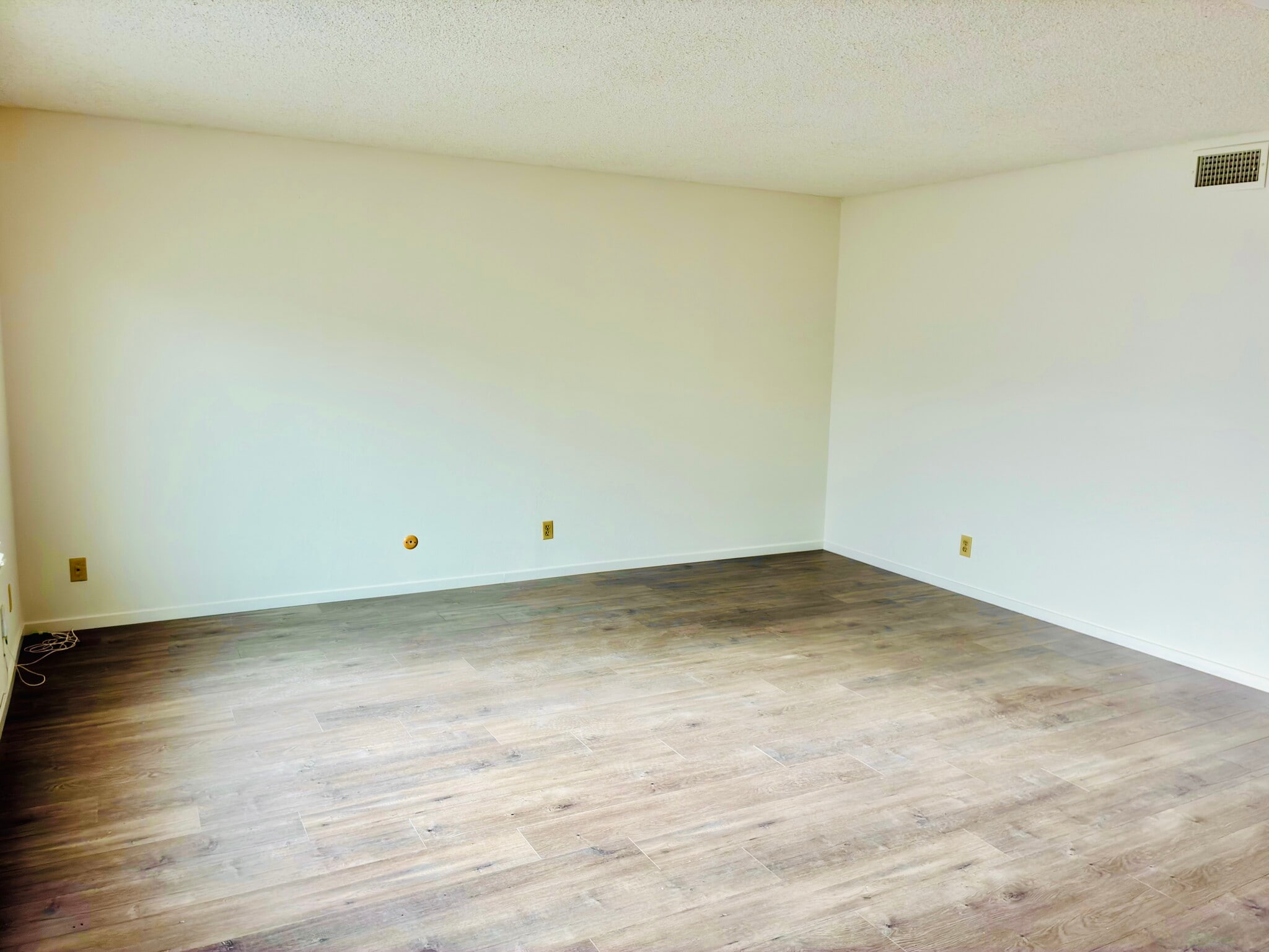 Living room - 247 20th Ave