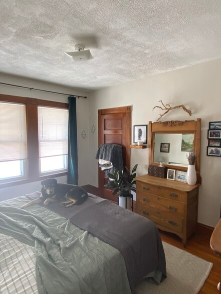 Building Photo - 37 Bellevue Ave