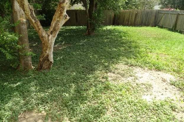 Building Photo - 6006 Ironmill Creek