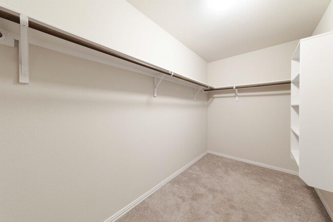 Building Photo - 13309 Arbor Hill Cove