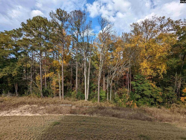 Building Photo - 1033 Colony Creek Ct