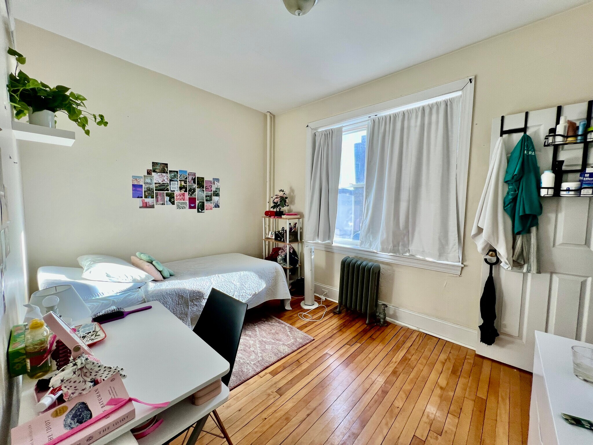 Building Photo - 66 Egmont St