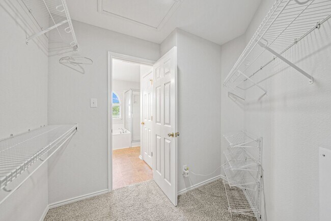 Building Photo - Alamo Ranch Rental!