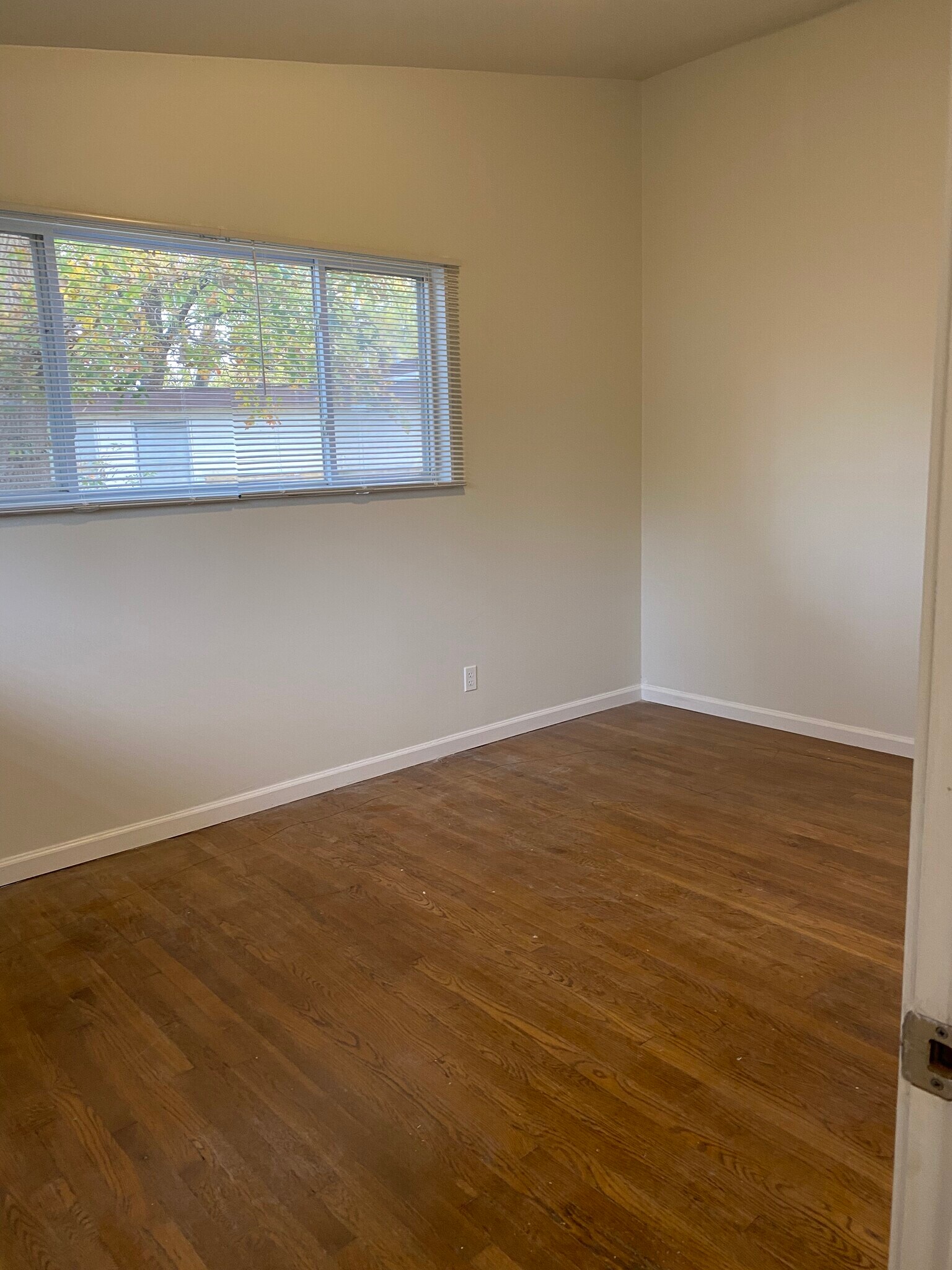 Building Photo - 2215 Ibis Ct