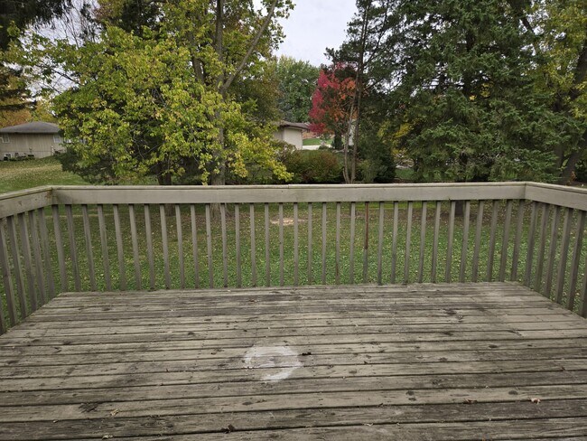 Building Photo - 3802 Gnarl Tree Ln