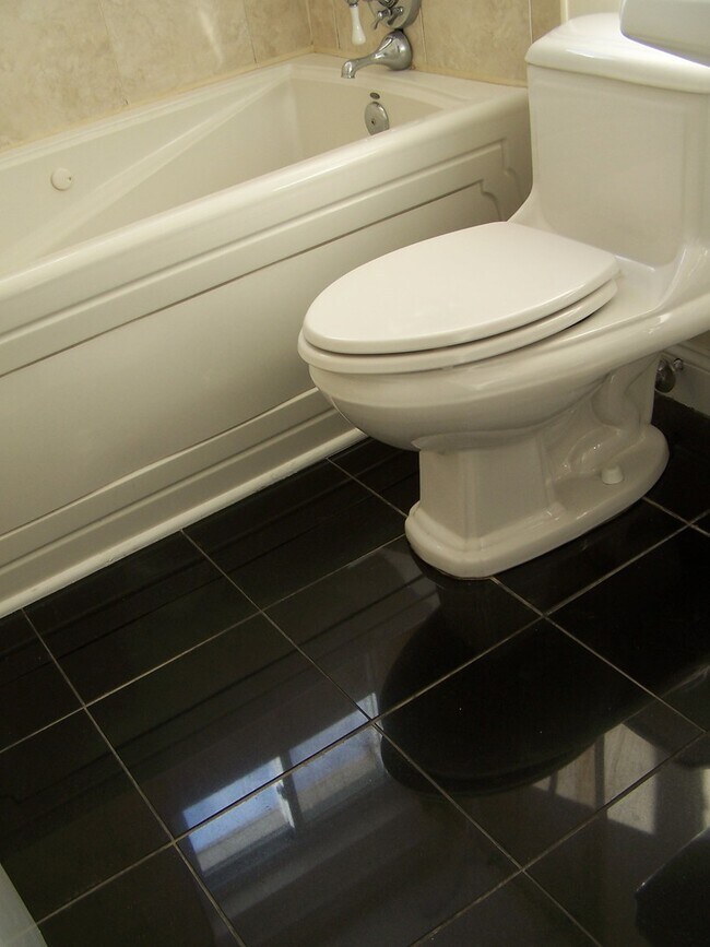 Building Photo - Remodeled  Three Bedroom Home w/ Finished Basement