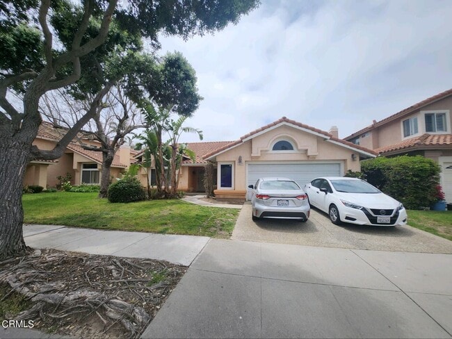 Primary Photo - 2409 Grapevine Dr