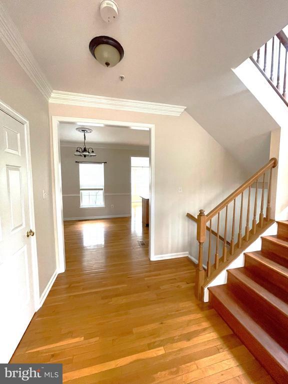 Building Photo - 6101 Newport Terrace