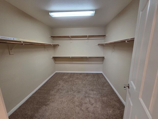 Building Photo - Single-Story 3 Bed / 2.5 Bath Home w/ Private Pool, Spa