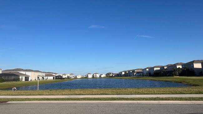 Building Photo - Single Family Home in Lakewood Ranch  Star...