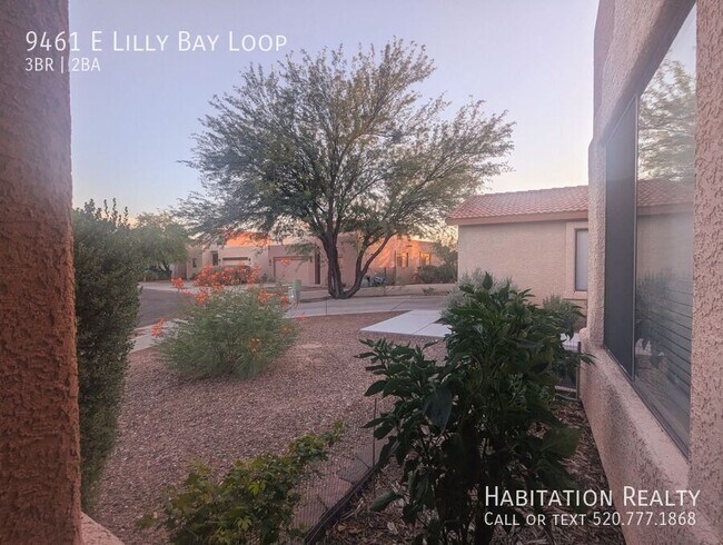 Building Photo - 9461 E Lilly Bay Loop