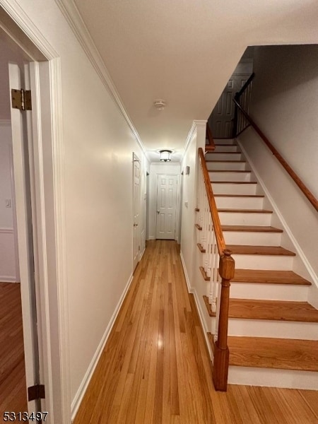 Building Photo - 35 Symor Dr