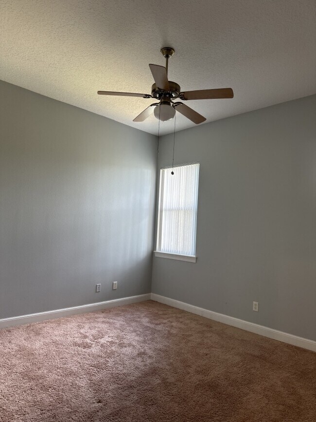 Building Photo - SOUTH TAMPA CUSTOM HOME