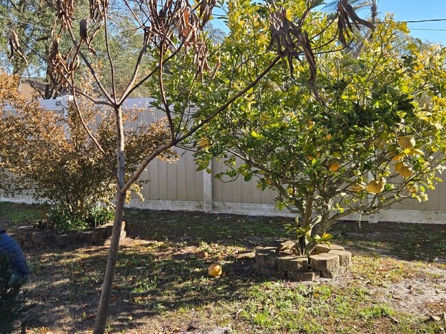 Building Photo - Beautful Home