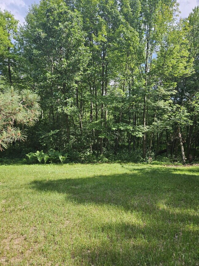 Building Photo - 1 bedroom lower level duplex in the country