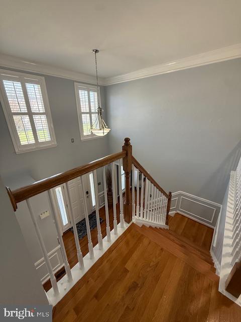 Building Photo - 8002 Middlebury Dr