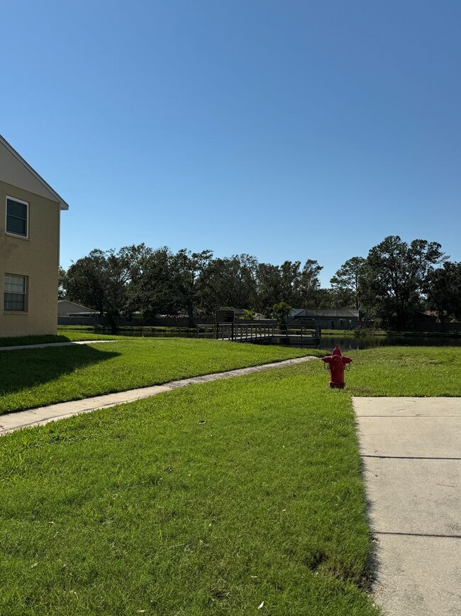 Building Photo - South Tampa Condo