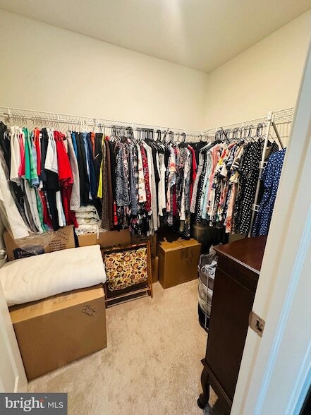 Building Photo - 4530 Wild Orchid Ln