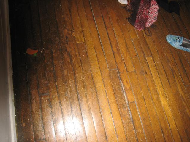 Building Photo - 1868 Commonwealth Ave