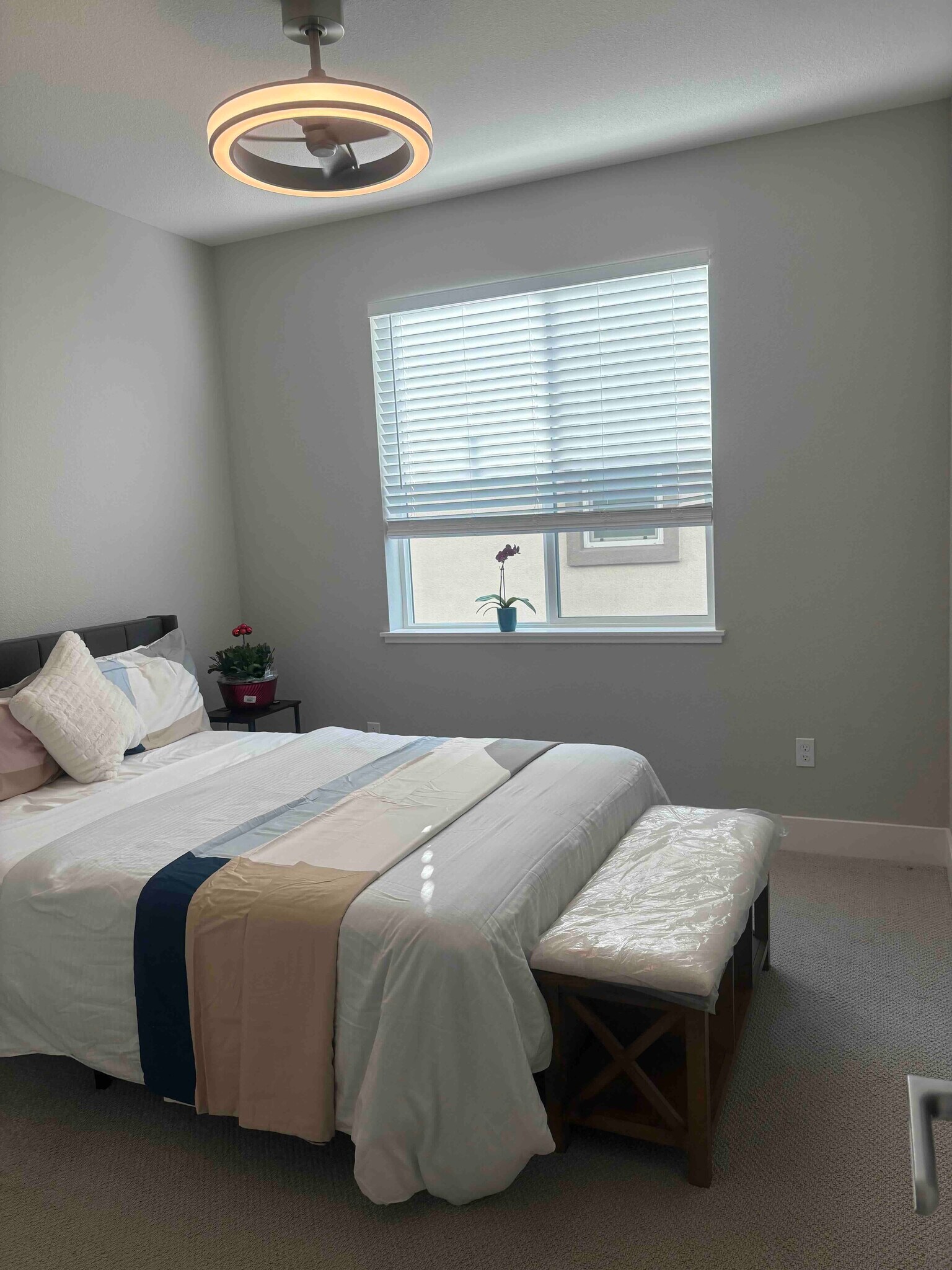 Building Photo - 2850 Lumin Ct